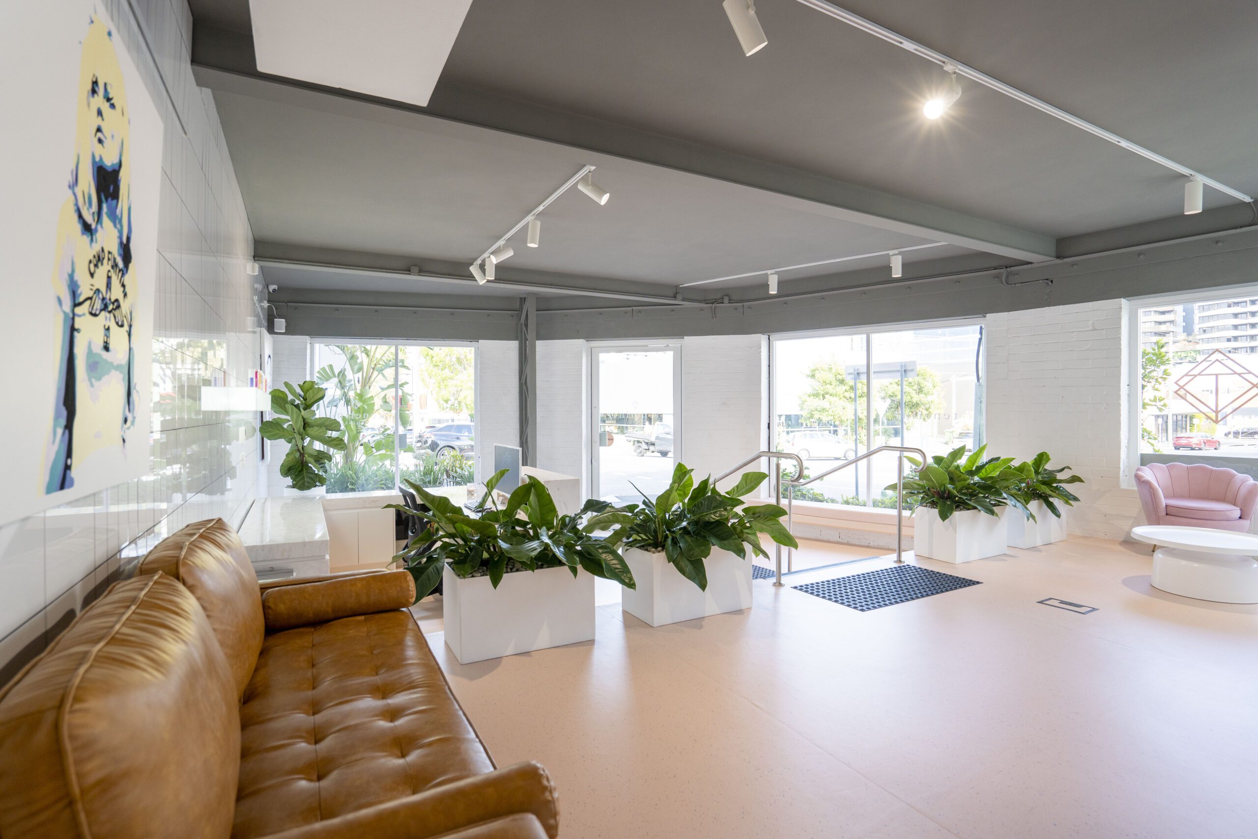 Legal and Regulatory Requirements To Open A Vet Clinic